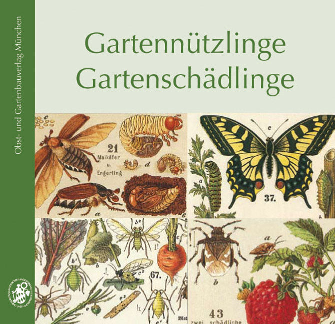 Gartennützlinge, Gartenschädlinge (Willi Votteler)