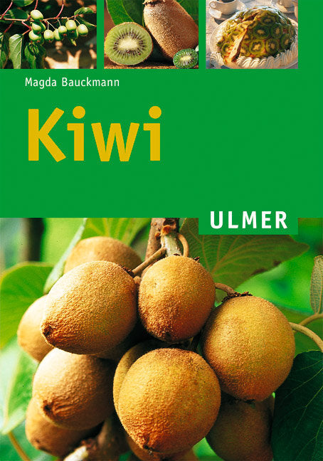 Kiwi (Magda Bauckmann)