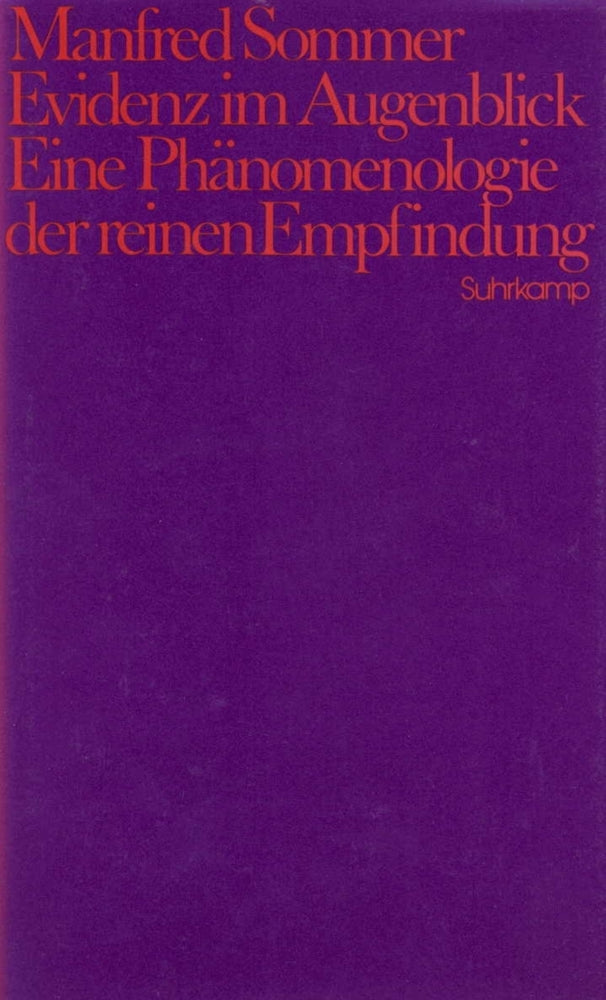 Evidenz im Augenblick (Manfred Sommer)