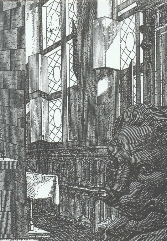 Rekonvaleszenz (Peter Weiss)