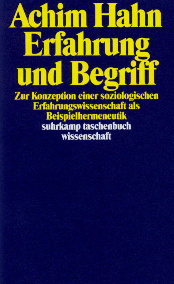 Erfahrung und Begriff (Achim Hahn)