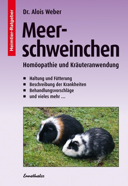Meerschweinchen (Alois Weber)