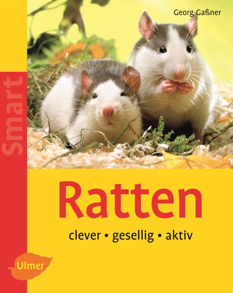Ratten (Georg Gaßner)