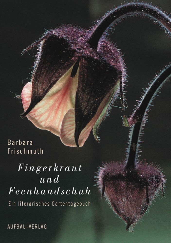 Fingerkraut und Feenhandschuh (Barbara Frischmuth)