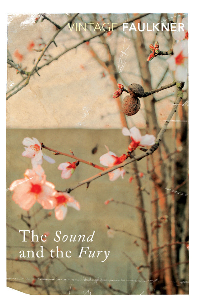 The Sound and the Fury (William Faulkner)