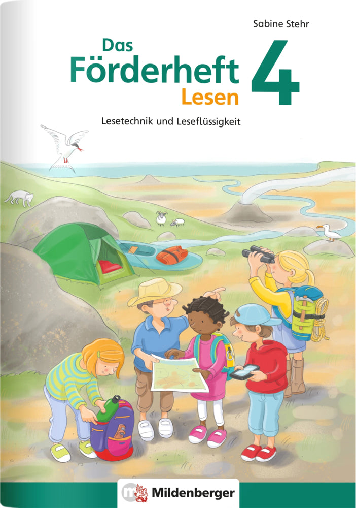 Das Förderheft Lesen 4 (Sabine Stehr)