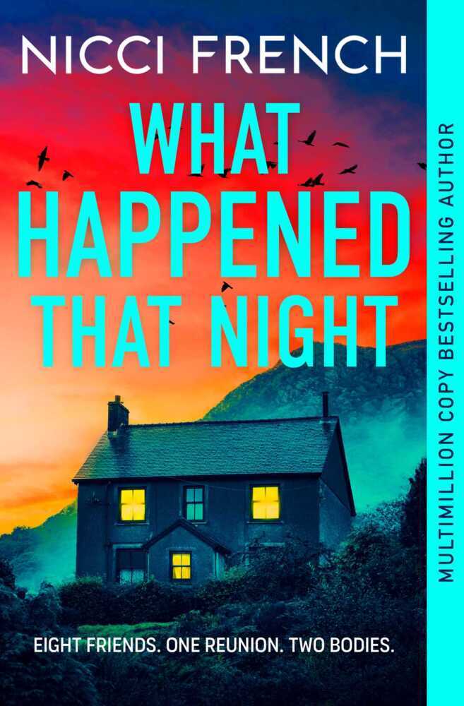 What Happened that Night (Nicci French)