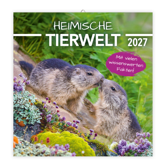 TRÖTSCH - Broschürenkalender Heimische Tierwelt 2027 (Trötsch Verlag Gmbh & Co.Kg)