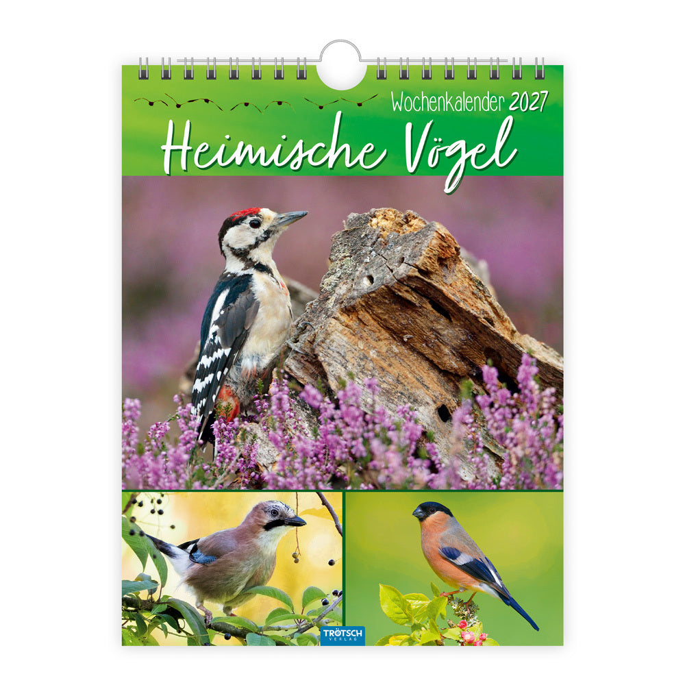 TRÖTSCH - Wochenkalender zum Hängen Heimische Vögel 2027 (Trötsch Verlag Gmbh & Co.Kg)