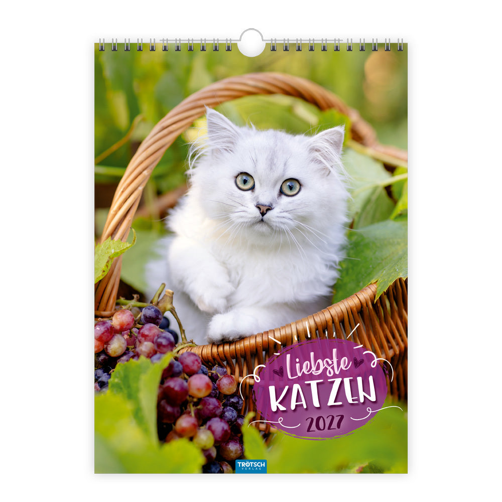 TRÖTSCH - Classickalender Liebste Katzen 2027 (Trötsch Verlag Gmbh & Co.Kg)