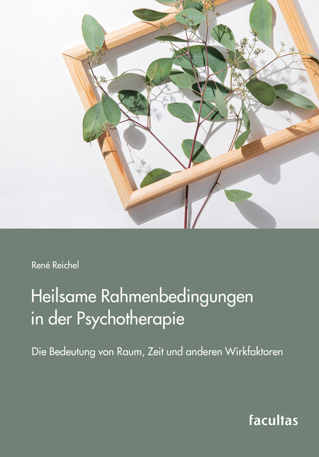 Heilsame Rahmenbedingungen in der Psychotherapie (René Reichel)