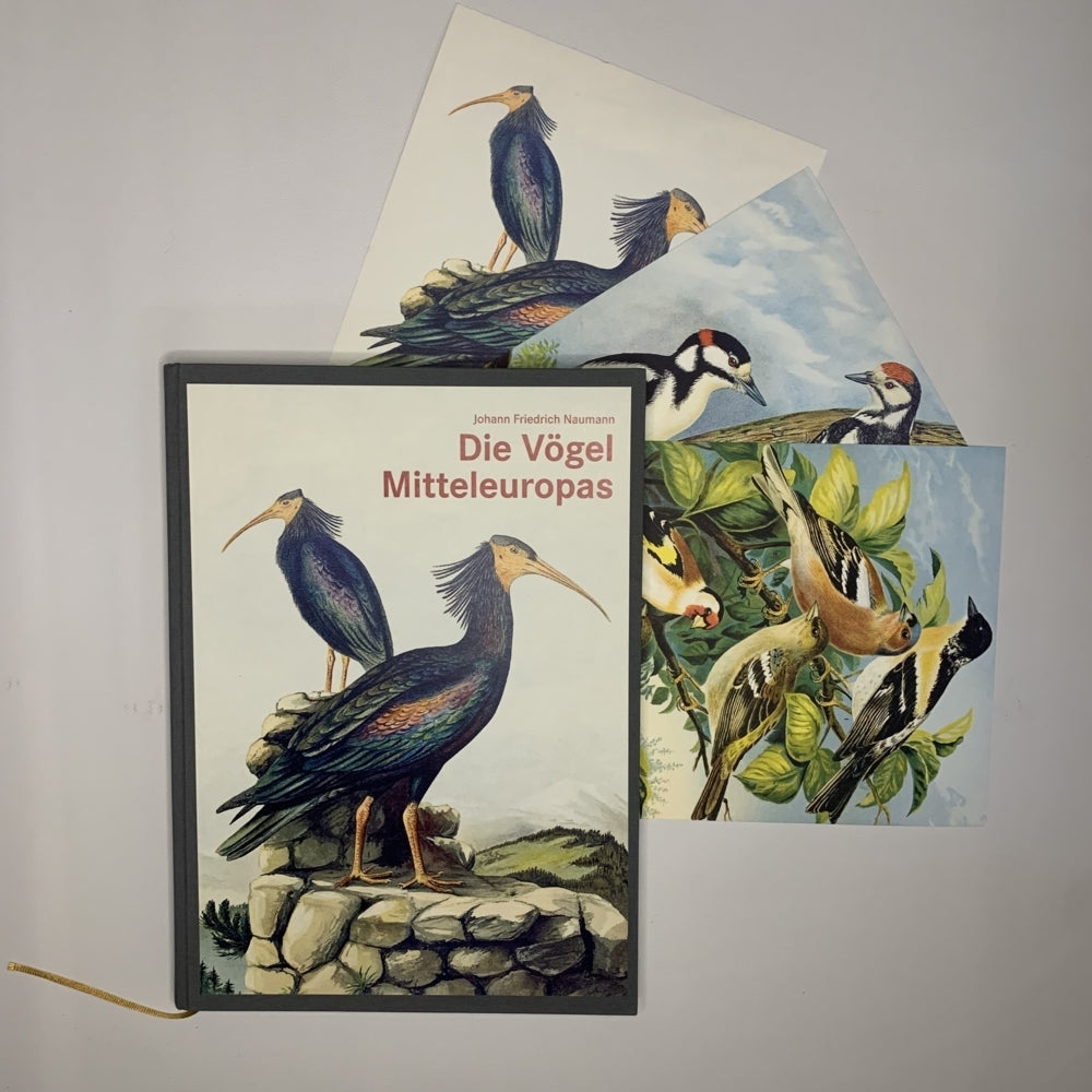 Die Vögel Mitteleuropas (Luxusausgabe im Großformat) (Johann Friedrich Naumann)