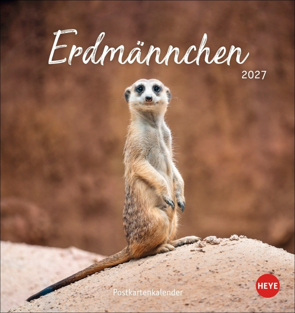 Erdmännchen Postkartenkalender 2027