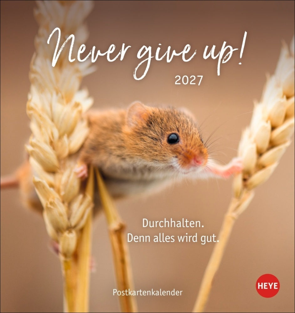 Never give up! Postkartenkalender 2027 - Durchhalten. Denn alles wird gut.