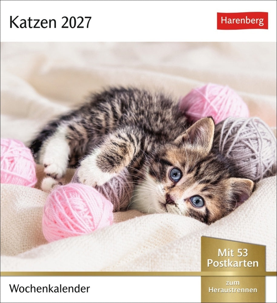Katzen Postkartenkalender 2027 - Wochenkalender mit 53 Postkarten