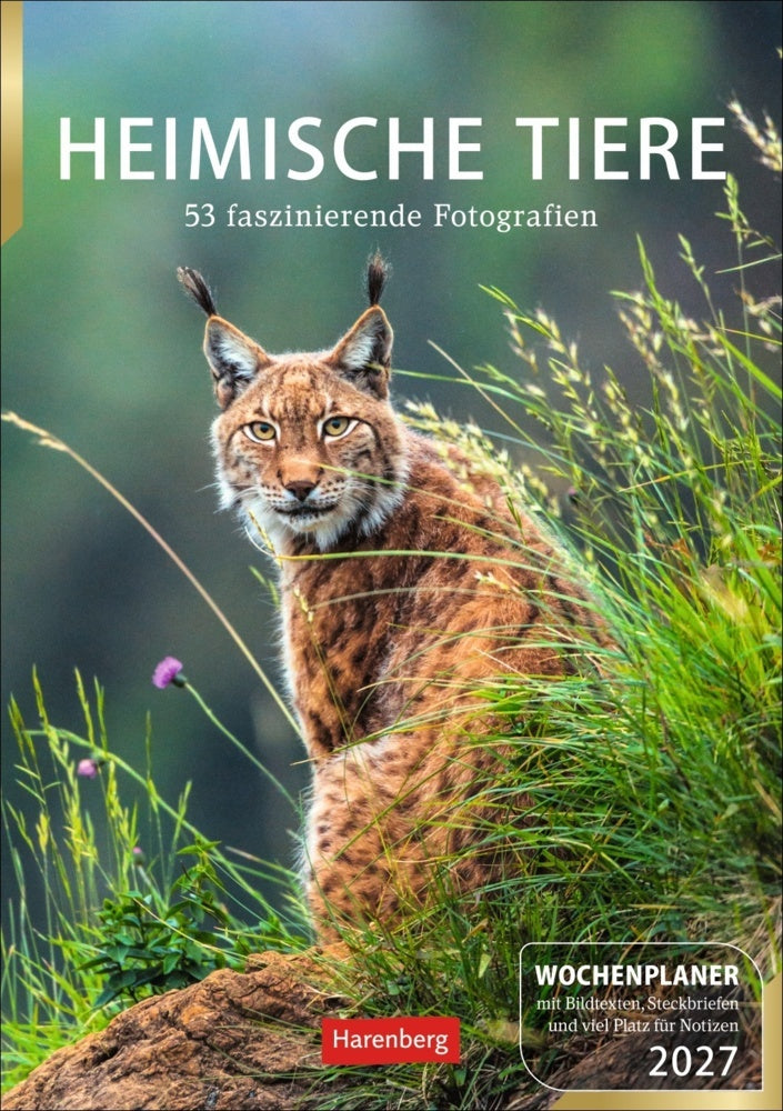 Heimische Tiere Wochenplaner 2027 - 53 faszinierende Fotografien (Markus Hattstein)
