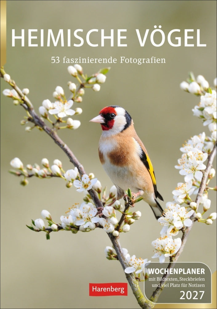 Heimische Vögel Wochenplaner 2027 - 53 faszinierende Fotografien (Markus Hattstein)