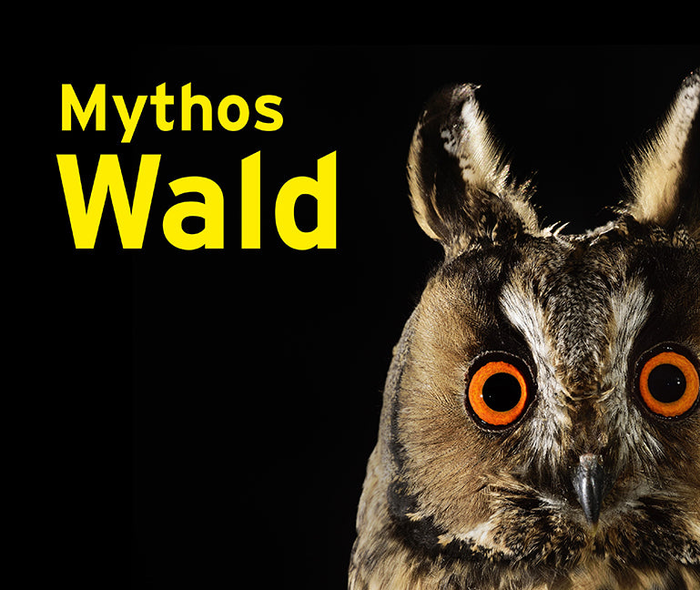 Mythos Wald (Jeanette Schmitz)