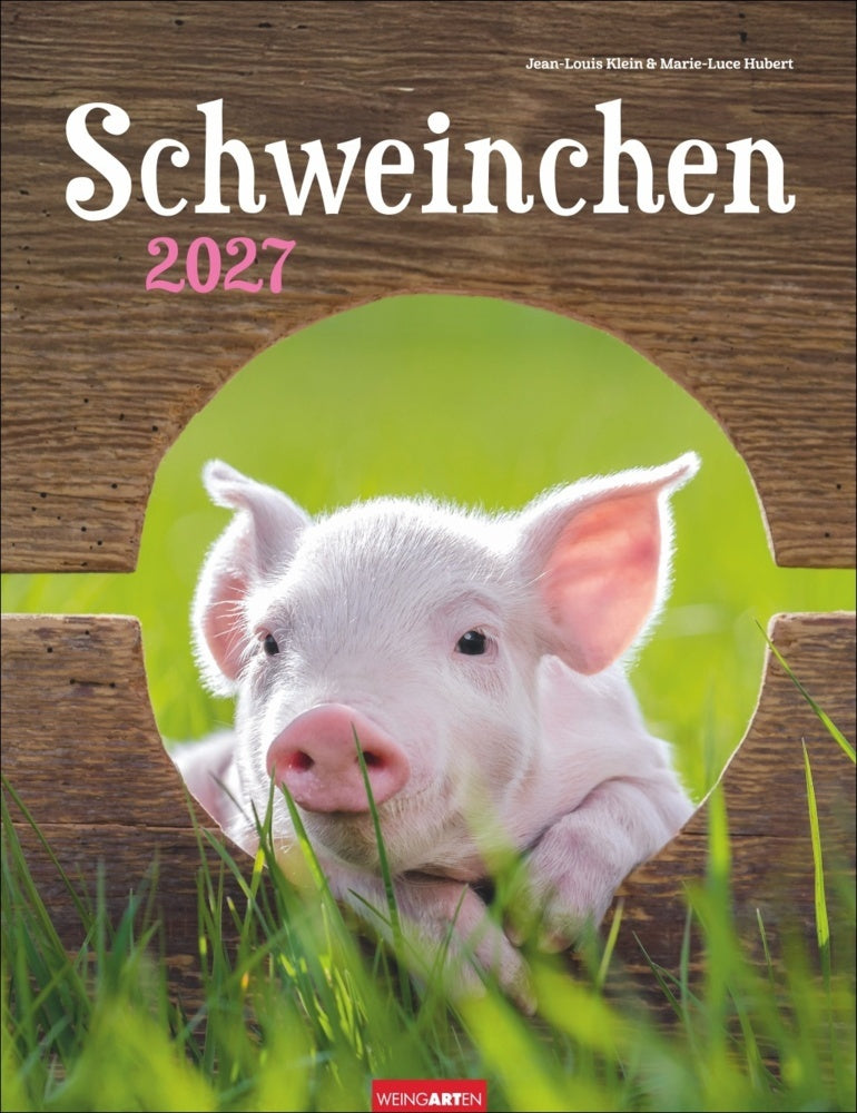 Schweinchen Kalender 2027