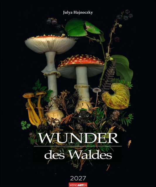 Wunder des Waldes 2027