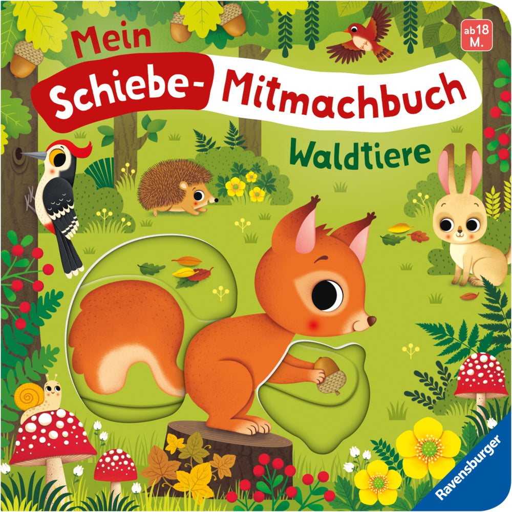 Mein Schiebe-Mitmachbuch - Waldtiere (Bernd Penners)