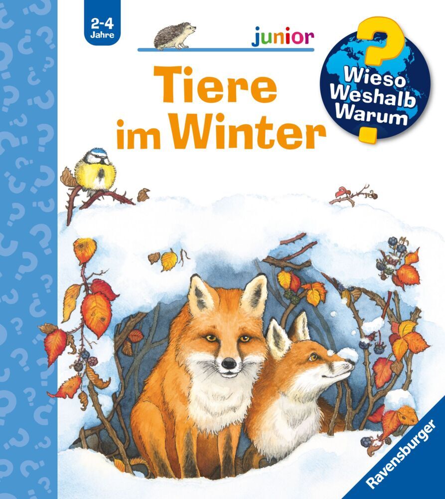Wieso? Weshalb? Warum? junior, Band 31 - Tiere im Winter (Andrea Erne)