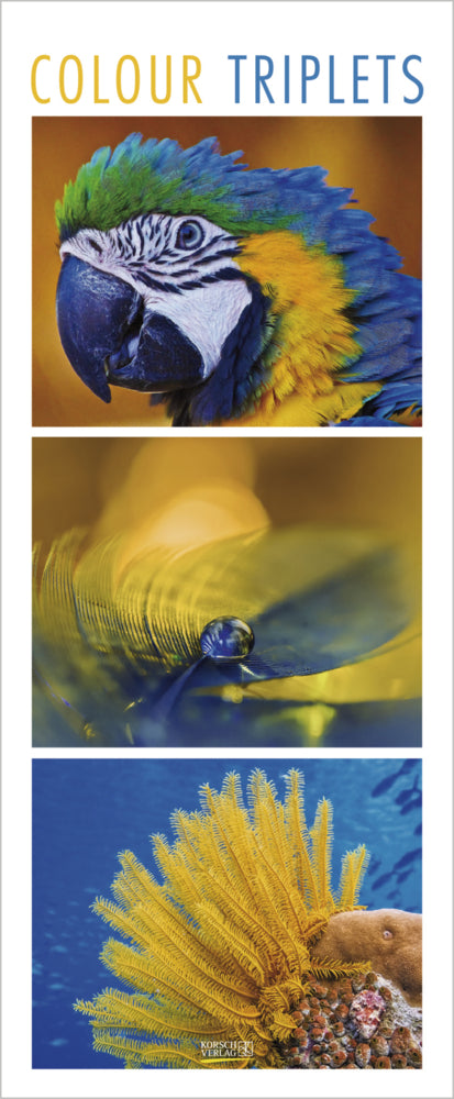 Colour Triplets 2027 (Korsch Verlag)