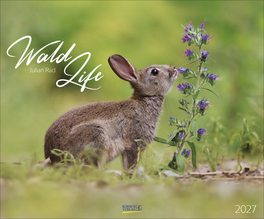 WaldLife 2027 (Korsch Verlag)