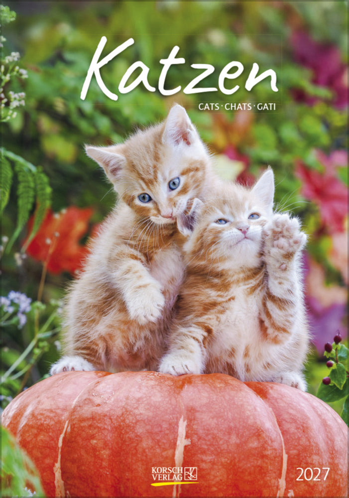 Katzen 2027 (Korsch Verlag)