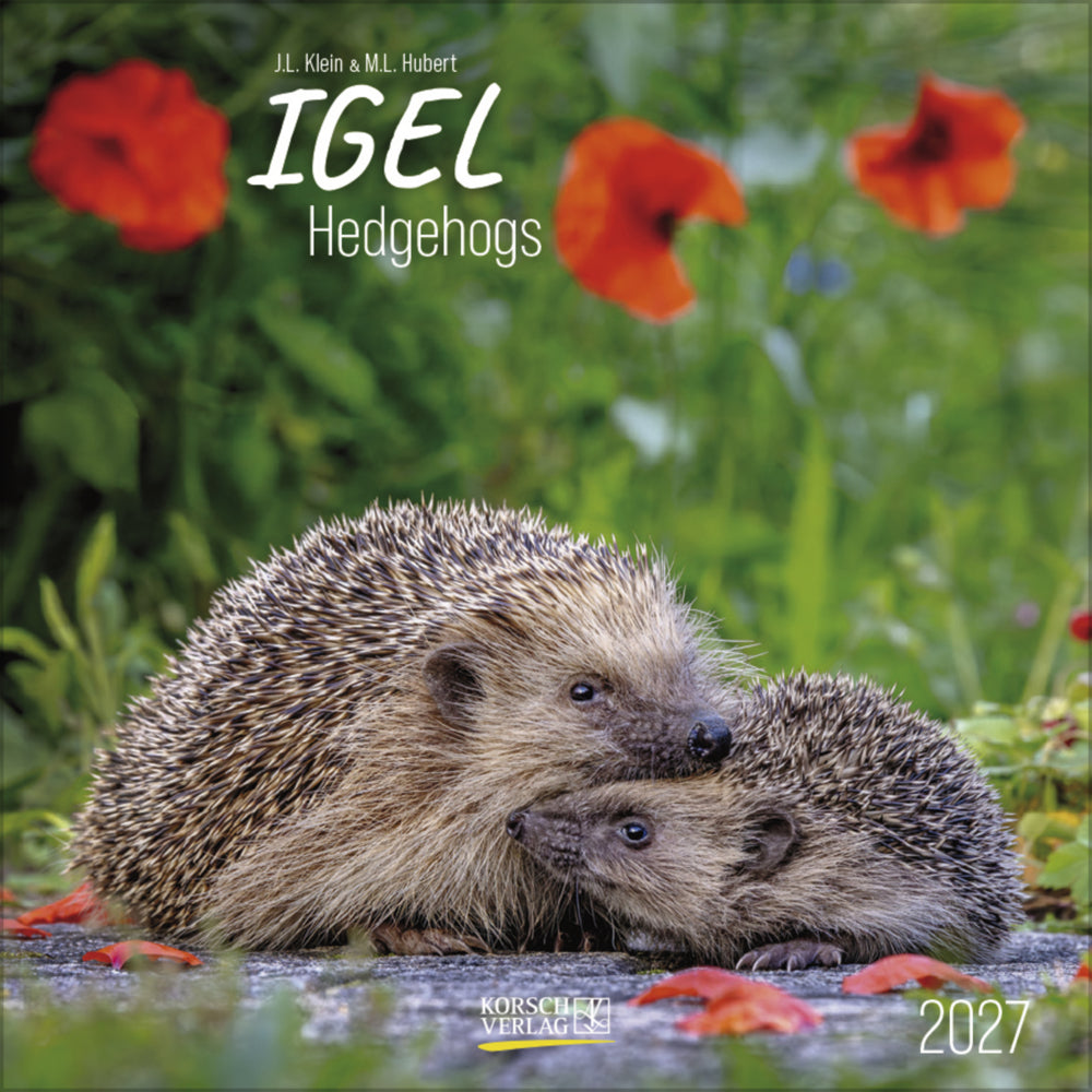Igel 2027 (Korsch Verlag)