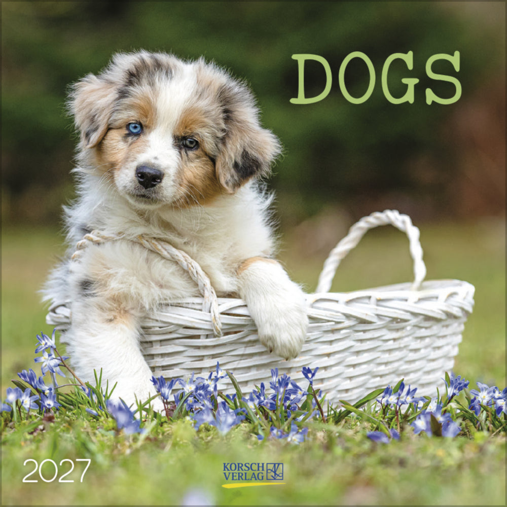 Dogs 2027 (Korsch Verlag)