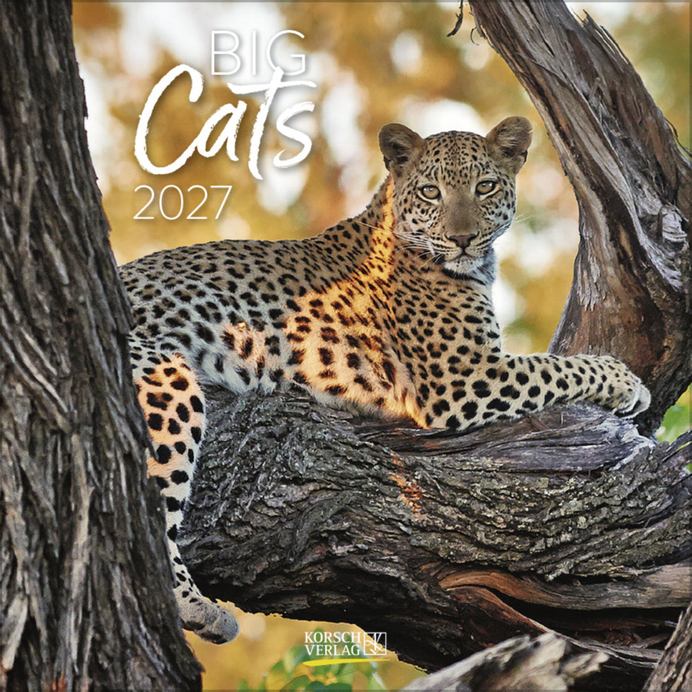 Big Cats 2027 (Korsch Verlag)