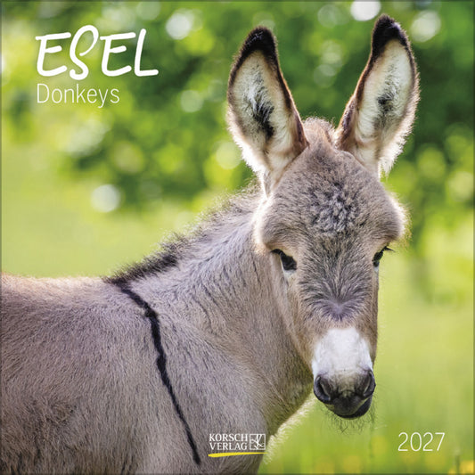 Esel 2027 (Korsch Verlag)