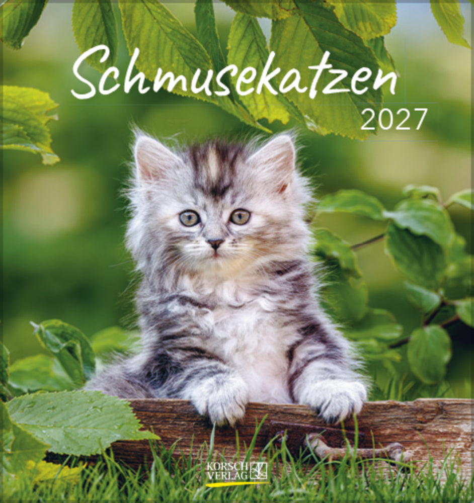 Schmusekatzen 2027 (Korsch Verlag)