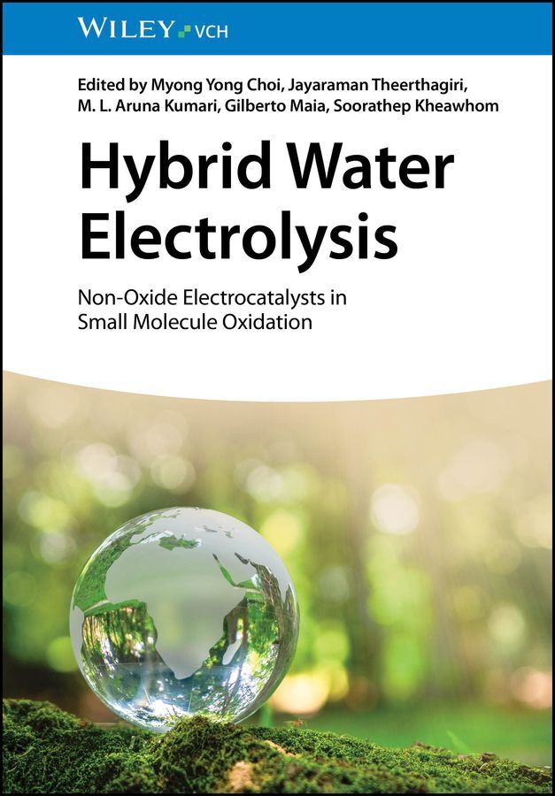 Hybrid Water Electrolysis (Myong Yong Choi)