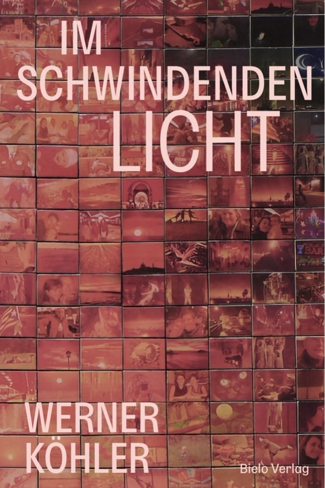 Im Schwindenden Licht (Werner Köhler)
