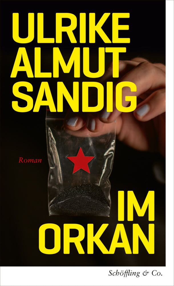 Im Orkan (Ulrike Almut Sandig)