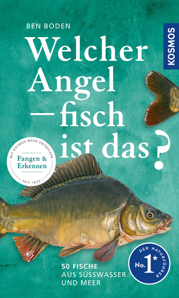 Welcher Angelfisch ist das? (Ben Boden)