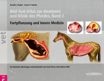 Bild-Text-Atlas zur Anatomie und Klinik des Pferdes.Bd.2 (Ronald J. Riegel)