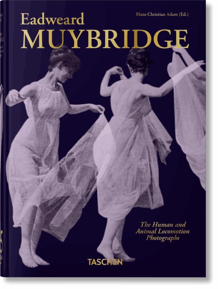Muybridge