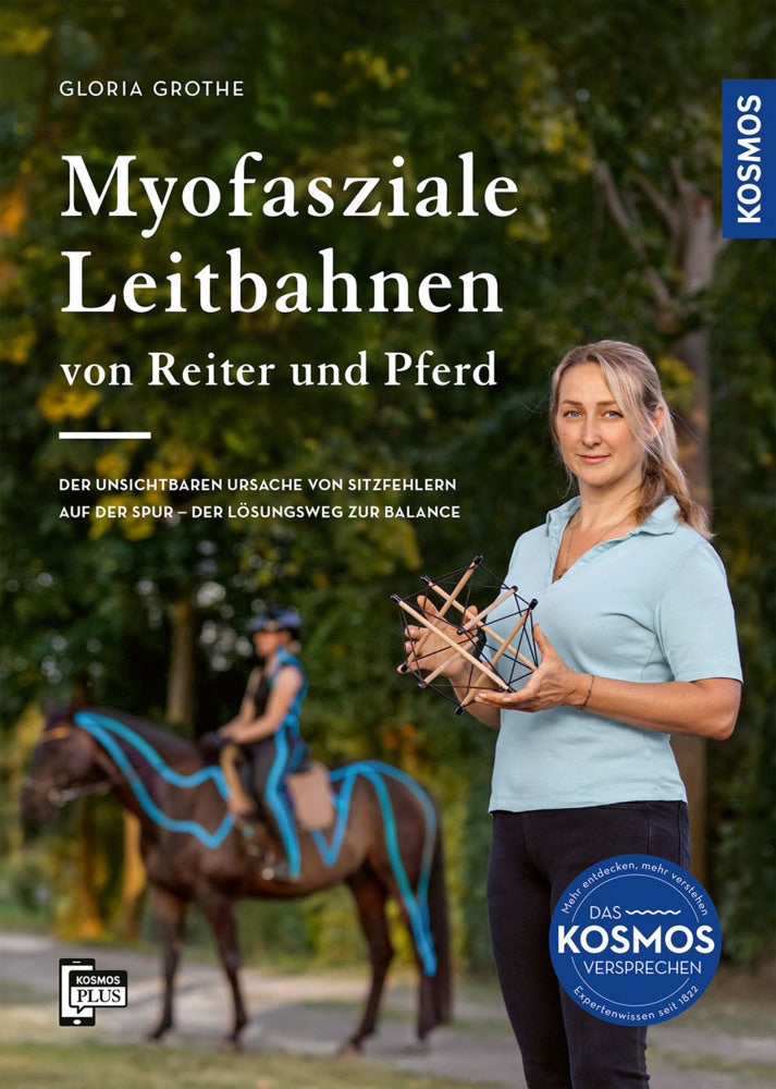 Myofasziale Leitbahnen von Reiter und Pferd (Gloria Grothe)