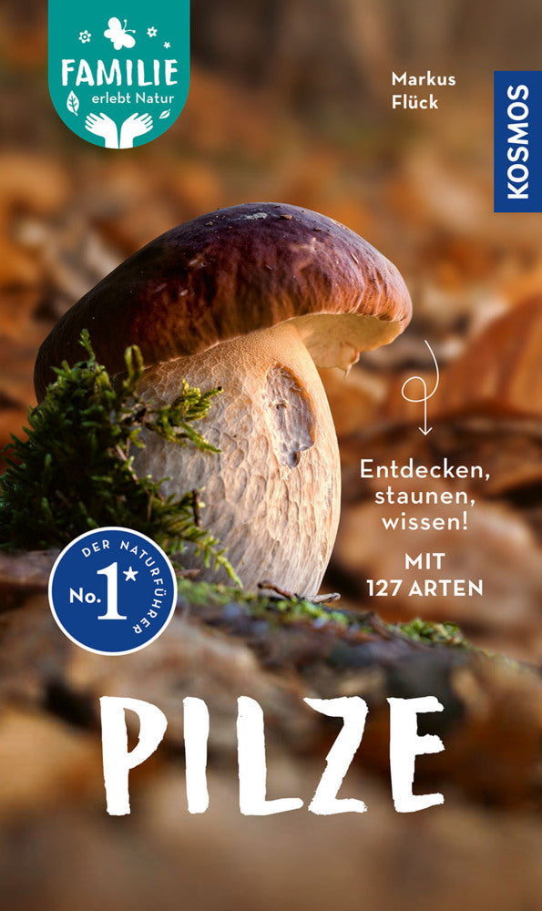 Pilze (Markus Flück)