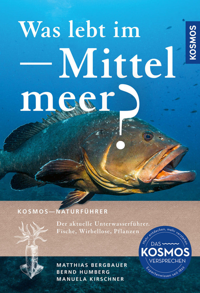 Was lebt im Mittelmeer? (Matthias Bergbauer)