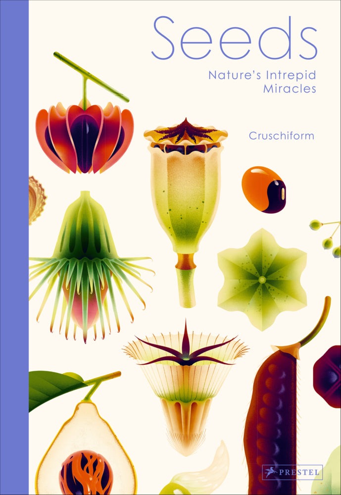 Seeds (Cruschiform)
