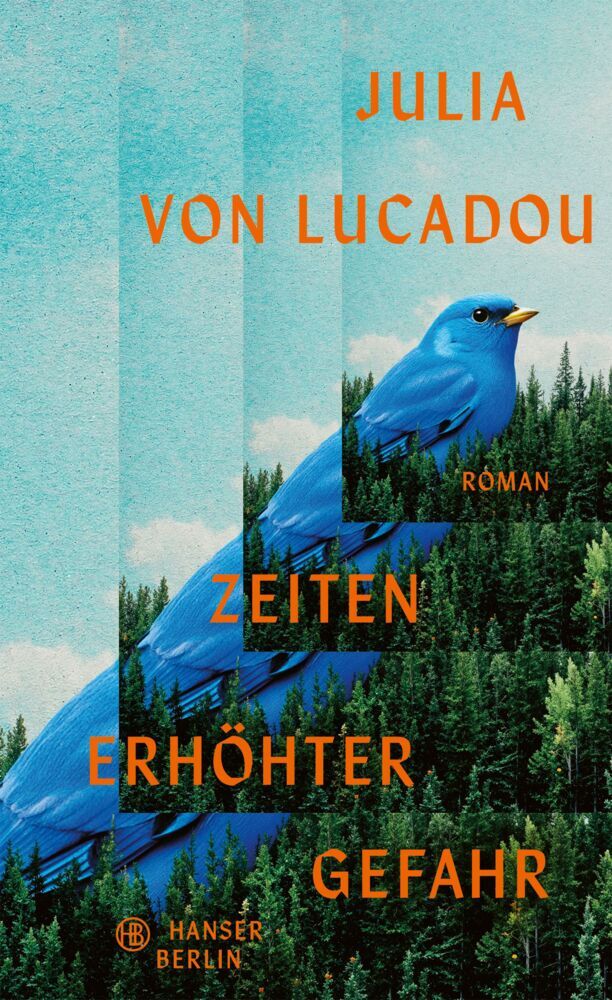 Zeiten erhöhter Gefahr (Julia Lucadou)