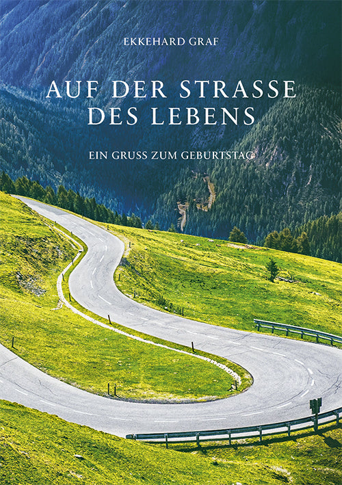 Auf der Straße des Lebens (Ekkehard Graf)