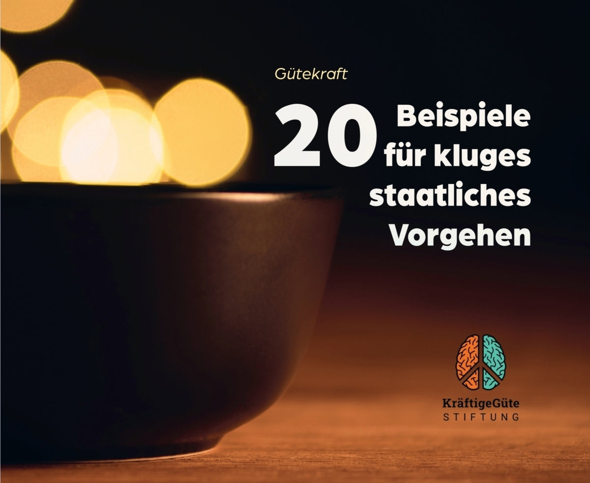 20 Beispiele für kluges staatliches Vorgehen (Lucia Oiro)