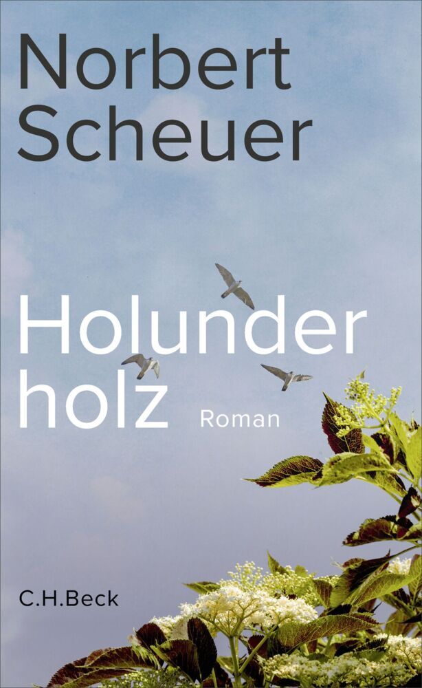 Holunderholz (Norbert Scheuer)