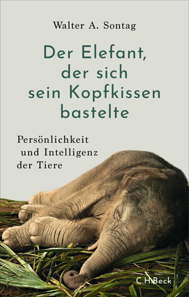 Der Elefant, der sich sein Kopfkissen bastelte (Walter A. Sontag)