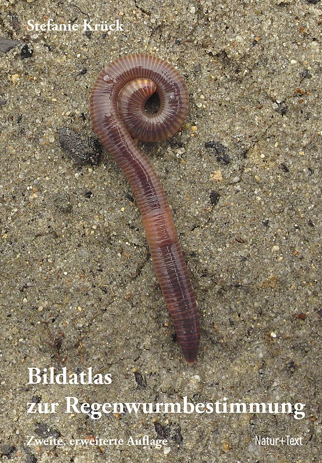 Bildatlas der Regenwurmbestimmung (Stefanie Krück)